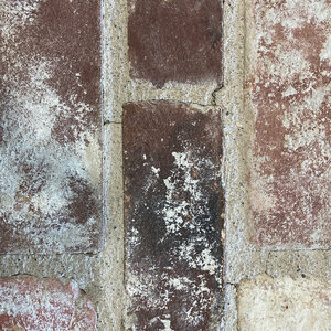 Old Texas Queen Size Full Brick Old San Luis 2-3/4 in. x 7-1/2 in. x 2-3/4 in. (948 pc./pallet)