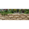 Orco AB LGR6 Cap Tan 3 in. x 16/12 in. x 11-1/4 in. (72 pc./pallet)