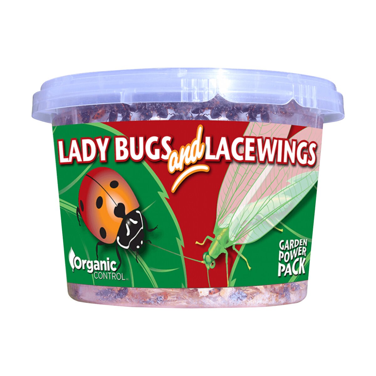 Organic Control Beneficial Insects Live Ladybugs/Green Lacewings 1000 ...