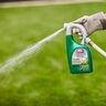 Ortho Nut Sedge Killer Herbicide RTS Liquid 32 oz.