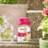 Fertilizer Osmocote Plus In/Outdoor 1 lb. Smart Release