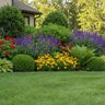 Osmocote Fertilizer 23-4-8 + Micros (8-9 mo.) 50 lb.