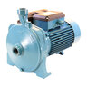 Pearl Centrifugal Water Pump Blue Cast Iron 68 lb. 2 HP 230V 1 Phase 1 in. 145 PSI