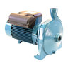 Pearl Centrifugal Water Pump Blue Cast Iron 68 lb. 2 HP 230V 1 Phase 1 in. 145 PSI