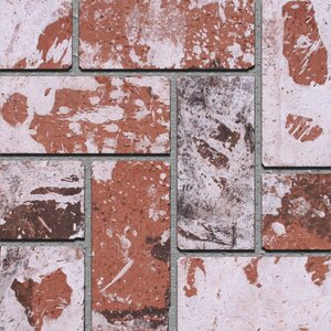 Pacific Clay Common Paver Full Mfg Used 3-3/4 in. x 2-1/4 in. x 8 in. (595 pc./pallet)