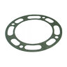 Pentair Gasket for MSE, MSF, MSG Pump - Seal Distributor SKU SD-15