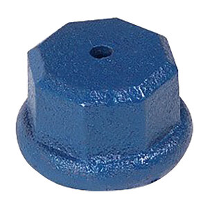 Pentair Well Cap 1 in. x 1-1/4 in. Npt
