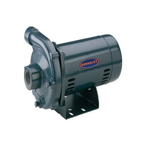 Sta-Rite JHG CP1-1/4TPHS Centrifugal Pump 2 HP 230v 1 Phase Cast Iron