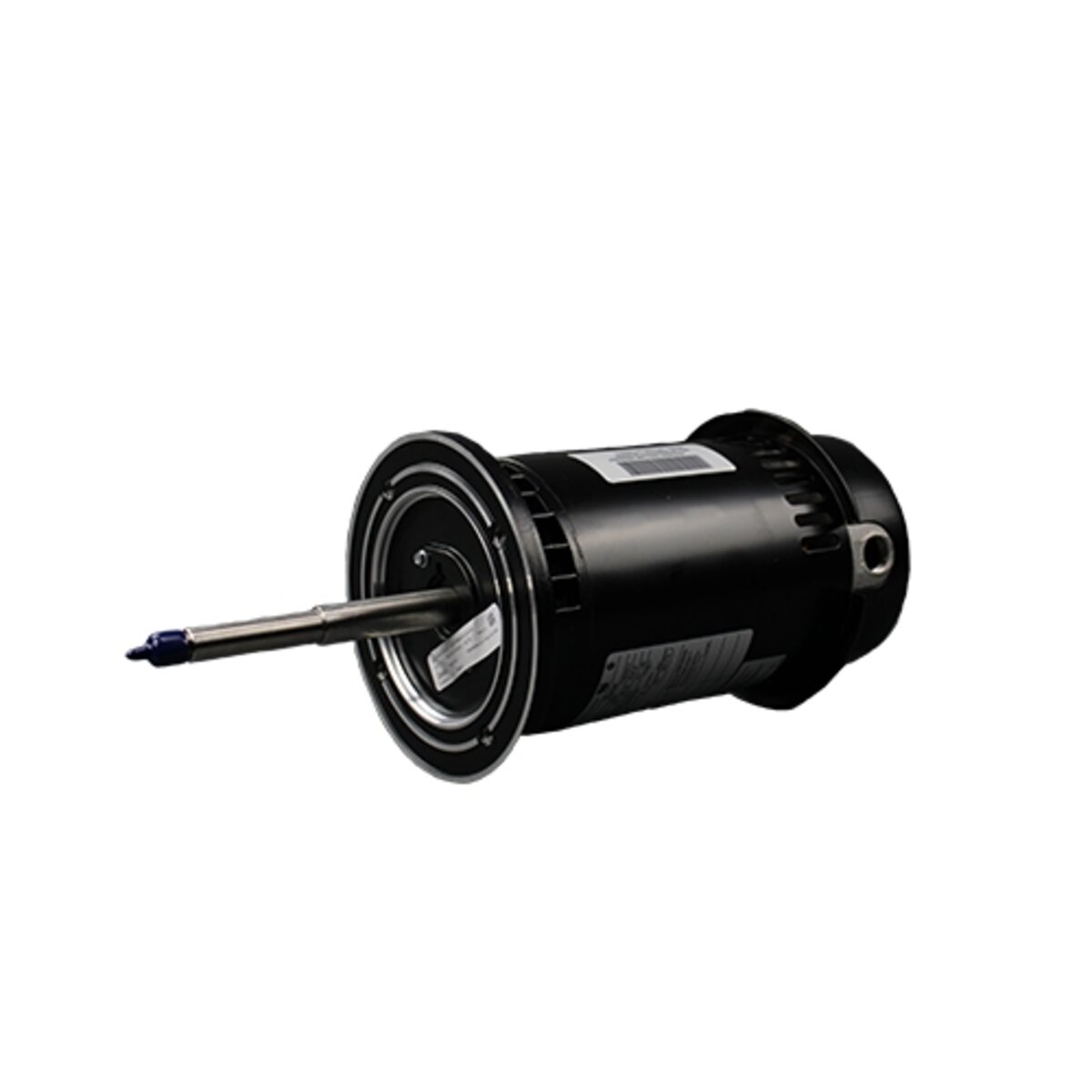 Sta-Rite Motor AE300GH 2 HP 230V 1 Phase for MSG-6 | SiteOne US