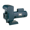 Sta-Rite 5 HP 1 PH Medium Head Pump