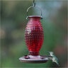 Perky Pet Hummingbird Feeder Hobnail Vintage Glass Red 14 in.