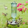 Perky-Pet Green Antique Glass Bottle Hummingbird Feeder 10 oz. 5-1/2 in. x 10-1/2 in.