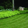 Permaloc ProSlide Aluminum Landscape Edging Mill Finish 1/8 in. x 4 in. x 16 ft.