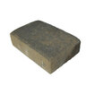 Phoenix Paver Standard Territorial Blend 6 in. x 9 in. 60 mm (100 sq. ft./pallet)