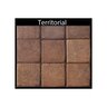 Phoenix Paver Standard Territorial Blend 6 in. x 9 in. 60 mm (100 sq. ft./pallet)