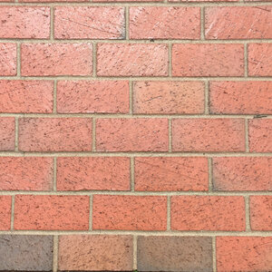 Pine Hall Pathway Clay Paver Full Range 4 in. x 8 in. x 2-1/4 in. (495 pc./pallet)