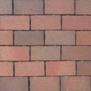 Pine Hall English Edge Paver Autumn 4 in. x 8 in. x 2-1/4 in. (110 sq. ft./pallet)