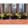 Pine Hall Old Towne Paver AF Antique Red Flash 4 in. x 8 in. x 2-1/4 in. (110 sq. ft./pallet)