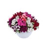 Dianthus chinensis Coronet Mixture Portfolio China Pinks