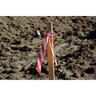 NYP Corp STRIPED 1-3/16 in. x 150 ft. WHITE/RED FLAGGING TAPE