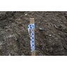 NYP Corp POLKA DOT 1-3/16 in. x 150 ft. WHITE/BLUE FLAGGING TAPE