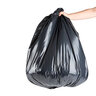 Trash Bag 33 in. x 48 in. 2 Mil Black (20/case)