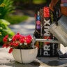 Pro-Mix Organic Container Mix 1 cu. ft. Bag