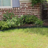 Pro-Steel Steel Landscape Edging Black 7 Gauge 3/16 in. x 4 in. x 10 ft.