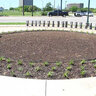 Pro-Steel Steel Landscape Edging Black 7 Gauge 3/16 in. x 4 in. x 10 ft.
