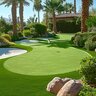 Pro-Trade Augusta Light Synthetic Turf 38 oz. Face Weight/64 oz. Total Weight 0.5 in. Flower Green Blades - No Thatching