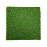 Pro-Trade Augusta Champion Synthetic Turf 38 oz. Face Weight/65 oz. Total Weight 0.85 in. Olive/Field Green Blades - No Thatching