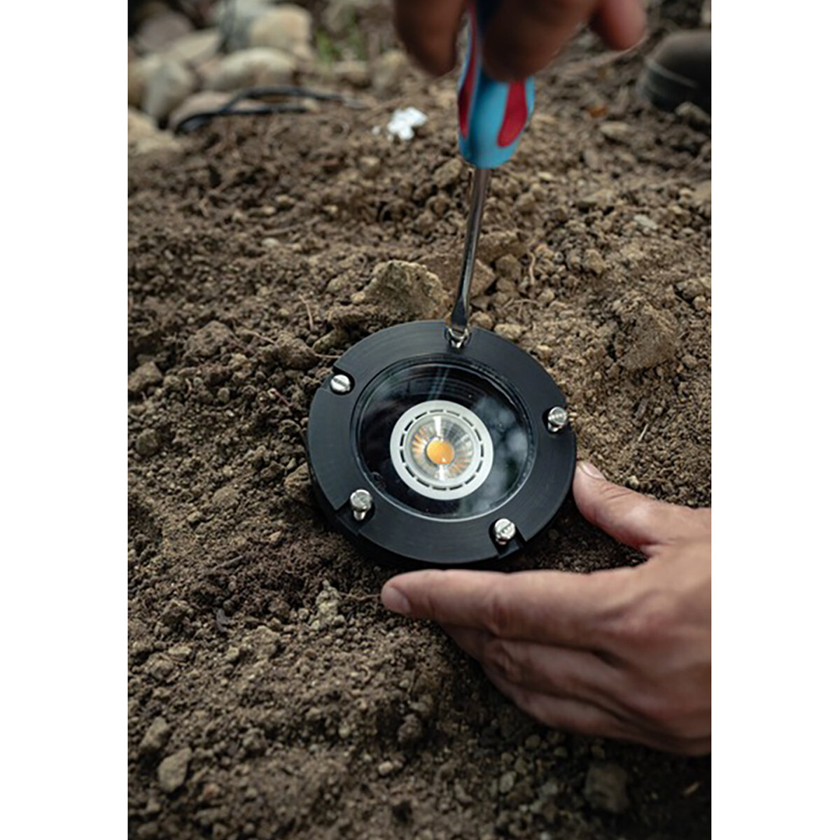 Pro-Trade MR16 LED 3W 250 Lumens 2700K 38 Degree | SiteOne US