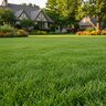 ProScape Fertilizer 20-0-25 100% EXPO SGN195 50 lb.