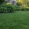 ProScape Fertilizer 20-0-5 30% Mesa 17% CRN 1%Fe 50 lb.