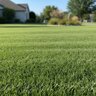 ProScape Fertilizer 30-0-0 100% MESA 50 lb.