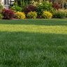 Lebanon ProScape 19-0-19 62% MESA 11.1% S 3% Fe 0.18% Zn Turfgrass Granular Fertilizer 50 lb. Bag