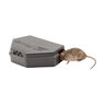 Protecta Evo Mouse Bait Station