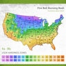Euonymus alatus Color Choice Fire Ball Proven Winners Burning Bush