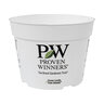 Pot Proven Winner 6-1/2 in.