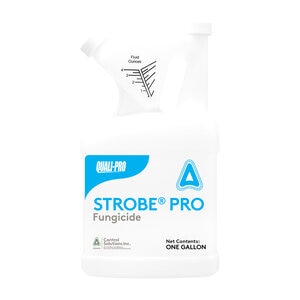Quali-Pro Strobe Pro SC Fungicide 1 gal.