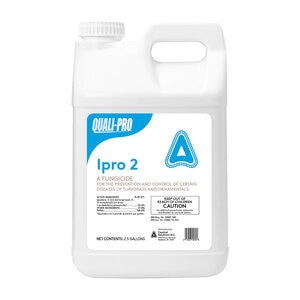 IPro 2 Fungicide 2.5 gal.