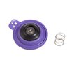 Rain Bird Diaphragm Repair Kit for 100EFA Valves