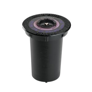 Rain Bird RD04 Non-Potable Spray Body NSI 4 in. Pop Up with PRS45 Pressure Regulator, SAM Check Valve and Flow-Shield