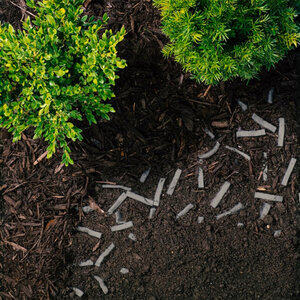 Rain Bird Root Booster Strips PRO, 5 gal. 