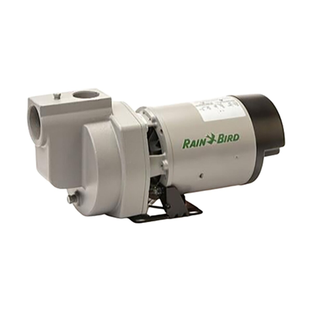 Rain Bird 2 HP Single Phase Booster Pump | SiteOne US