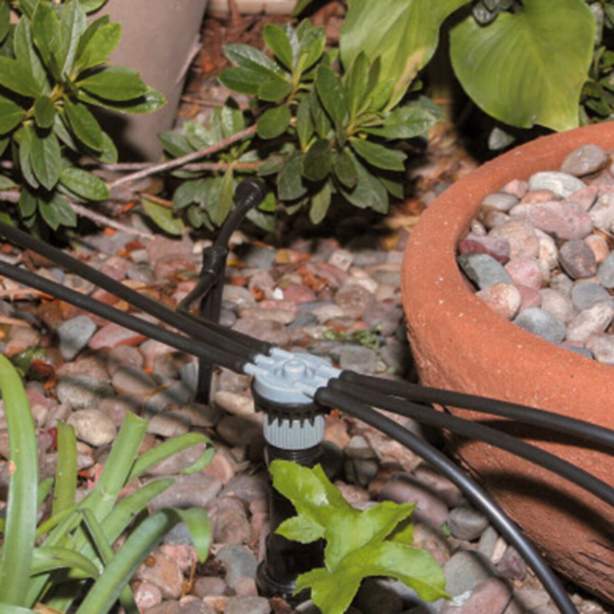 Rain Bird 6-Outlet Manifold 1/2 in. FIPT Inlet x 1/4 in. Barb Outlets ...