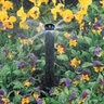 Rain Bird Nozzle Half Circle Flat 8 ft. 180 Degree