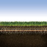 Rain Bird Xfs Subsurface Dripline 0.6 GPH 12 in. Spacing 500 ft. (Sold per Roll)