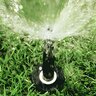 Rain Bird 1812 Spray Body NSI 12 in. Pop Up with PRS45 Pressure Regulator and SAM Check Valve