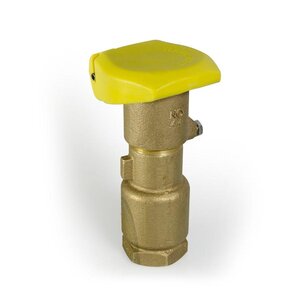 Rain Bird Quick Coupling Valve 1 in. FIPT Inlet 2 pc. Body Double Track Key Lug w/ Yellow Cover